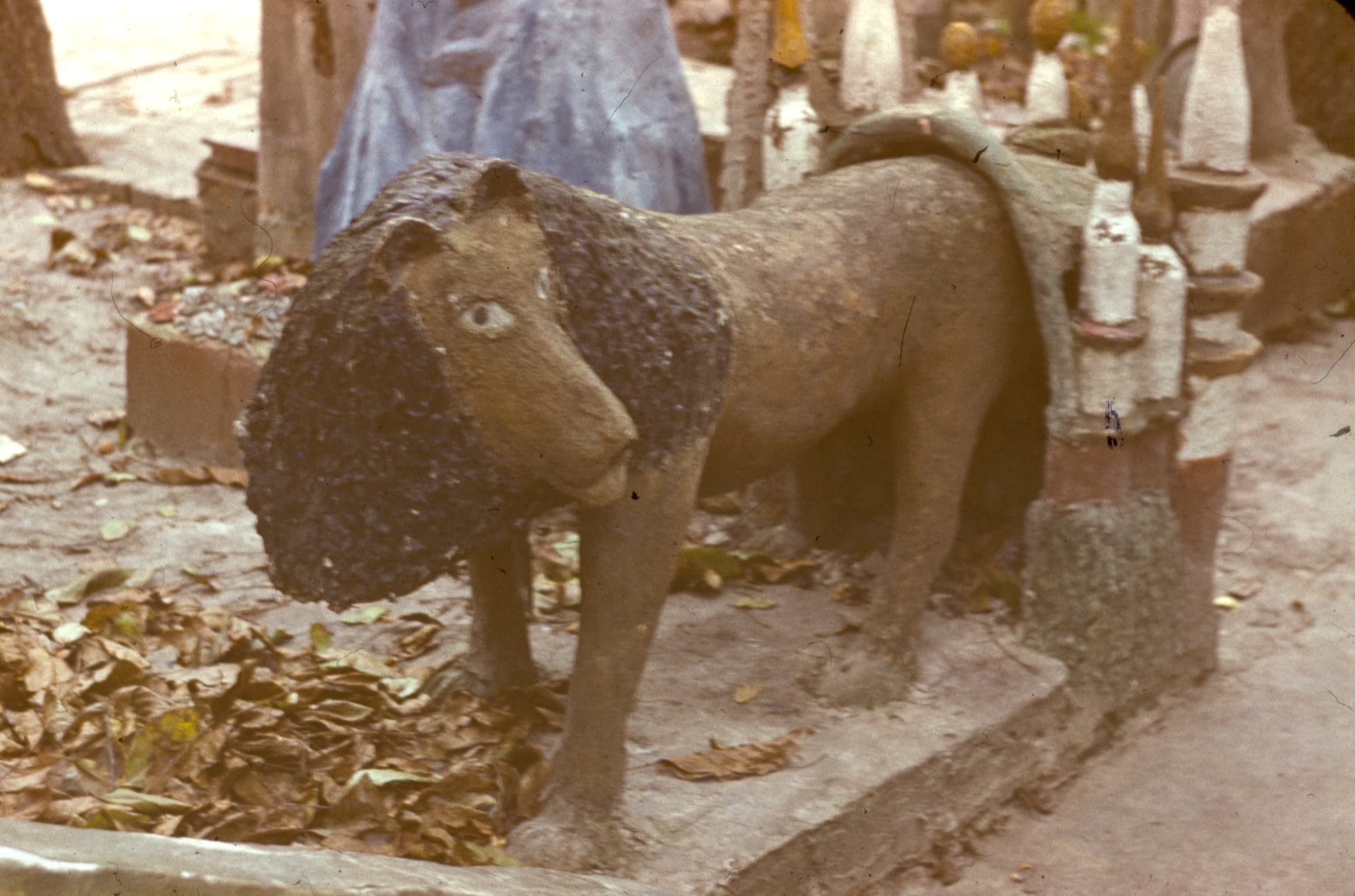 Фото Ірини Артушевської