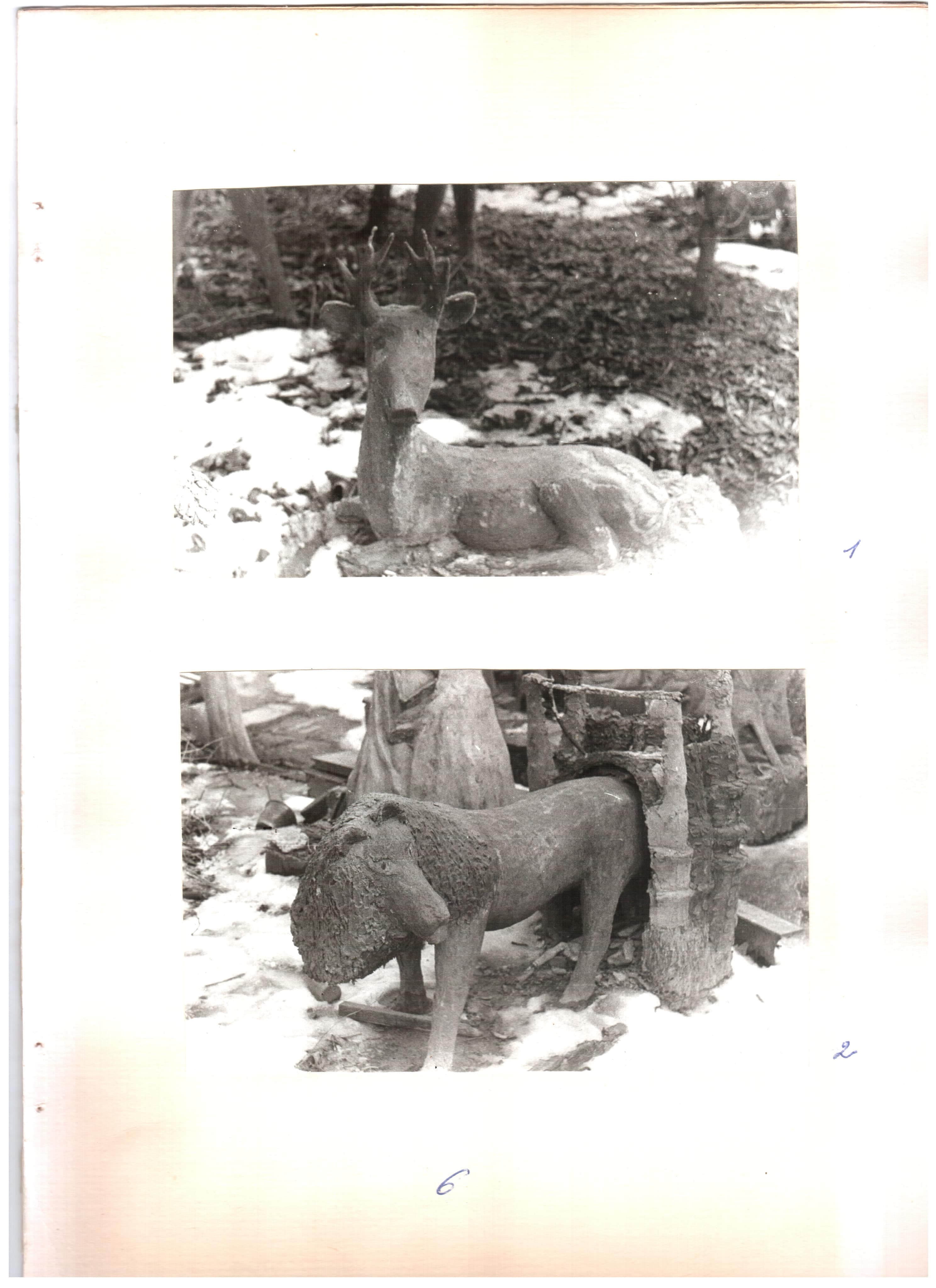 Фото Зої Навроцької